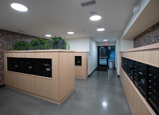 an empty room with a plant on top of the counter