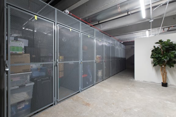 a large room with several rows of metal lockers and a white wall with a plant in